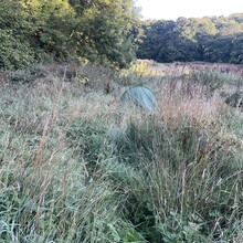 Sue Lord - Offa's Dyke (United Kingdom)