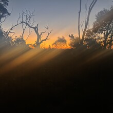 Stefan Krueger - Cooloola Great Walk