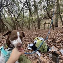 Chris Leblanc - Uwharrie Trail (NC)