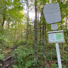 Kara Sampsell - Glastenbury/West Ridge Loop (VT)