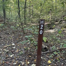 Samantha Jones-Cox, Kim Hall - Knobstone Hiking Trail (IN)