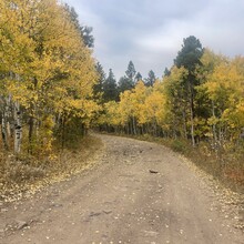 Sarah Powers - Centennial Trail (SD)