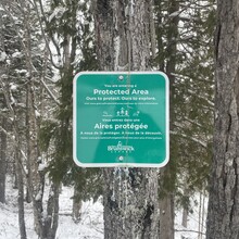 Brandon McCluskey - Turtle Mountain (NB, Canada)