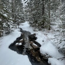 Brandon McCluskey - Turtle Mountain (NB, Canada)