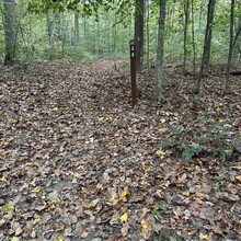 Samantha Jones-Cox, Kim Hall - Knobstone Hiking Trail (IN)