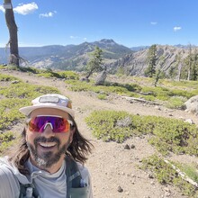 Jaysun Pine - Donner Crest