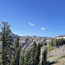 Jaysun Pine - Donner Crest