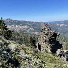 Jaysun Pine - Donner Crest