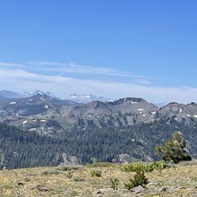 Jaysun Pine - Donner Crest