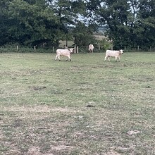 Sue Lord - Offa's Dyke (United Kingdom)