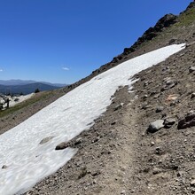 Jaysun Pine - Donner Crest