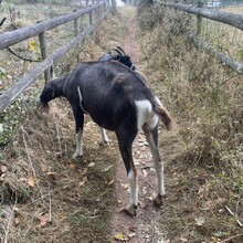 Sue Lord - Offa's Dyke (United Kingdom)