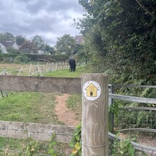 Sue Lord - Offa's Dyke (United Kingdom)