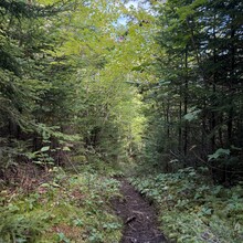 Victoria Perron - Cape Chignecto Provincial Park Loop (NS, Canada) 