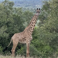 Kelly Halpin, Simon Mtuy - Mt Meru (Tanzania)