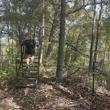 Samantha Jones-Cox, Kim Hall - Knobstone Hiking Trail (IN)