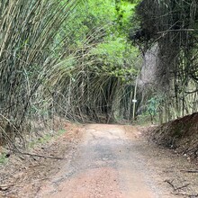 David Green - Caminho da Fé – Borborema to Aparecida