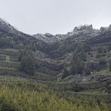 Emily Toole - Männlichen (Switzerland)