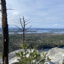 Chantal Demers - Kitchitwaa Shkwaandem-Heaven's Gate