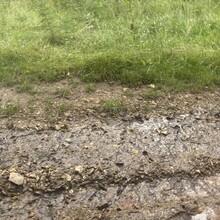 Grant Taylor - Sidmouth and Salcombe Regis Circular (United Kingdom)