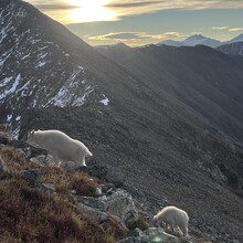 Joseph DeMoor - Torreys to Bierstadt (CO)