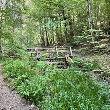 Lana Sheta - Schluchtensteig (Germany)