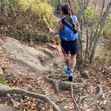 Teresa Bowser - Project Untamed 100 (NC)