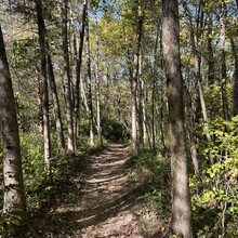 Taton Bertsch - Twin Valley Trail (OH)