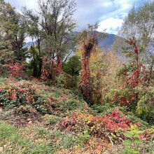 Andrea Mondini - Meraner Waalwege (Italy)