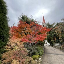 Andrea Mondini - Meraner Waalwege (Italy)