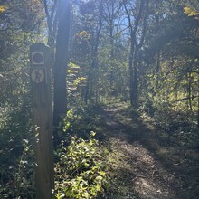 Taton Bertsch - Twin Valley Trail (OH)