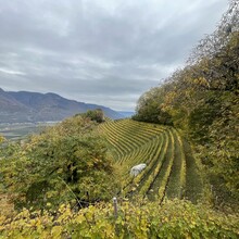 Andrea Mondini - Meraner Waalwege (Italy)