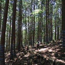 Kaori Niwa - Shiga Round Trail / Shiga Ichi (Japan)