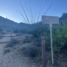 Sarah Weber - Tucson Five (AZ)