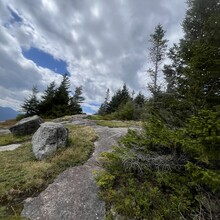 Alexandra Zvezdin - Hopkins out and back via Mossy Cascade