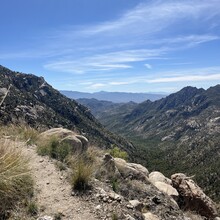 Sarah Weber - Tucson Five (AZ)