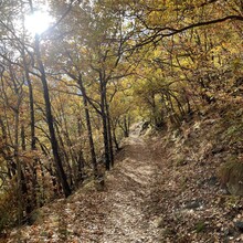 Andrea Mondini - Meraner Waalwege (Italy)