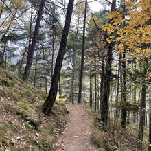 Andrea Mondini - Meraner Waalwege (Italy)