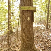 Samantha Jones-Cox, Kim Hall - Knobstone Hiking Trail (IN)