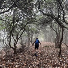 Teresa Bowser - Project Untamed 100 (NC)