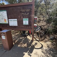 Sarah Weber - Tucson Five (AZ)