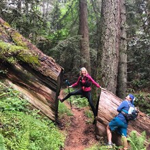 Lucas Horan, Jenn Gaskell - San Fran Bay Circumnav via Bay Area Ridge Trail (CA)