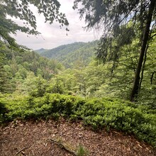 Lana Sheta - Schluchtensteig (Germany)