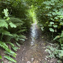 Dean Bennett - West Deane Way