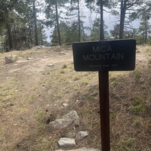 Sarah Weber - Tucson Five (AZ)