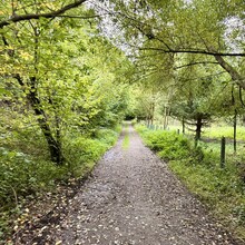 Bram Cecat - Trails Godinne Red trail (Belgium)