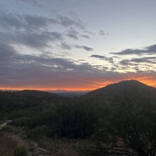 Sarah Weber - Tucson Five (AZ)