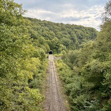 Bram Cecat - Trails Godinne Red trail (Belgium)