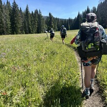 Christine Bianchi, Kelsey Johansen, Colton Kasper, Rachel Szemenyei, Masen Armel, Shannon Dowell, Tony Roy - Gallatin Crest Trail (MT)