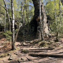 Daniela Löffler - Zschirnstein Trail